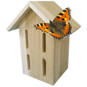 Butterflies Shelter - Caillard